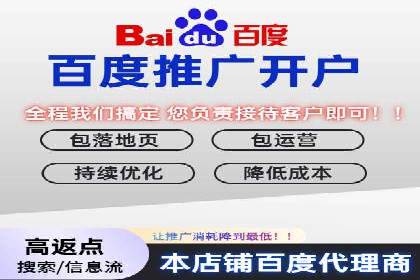 关键词竞价排名实战案例分析及优化